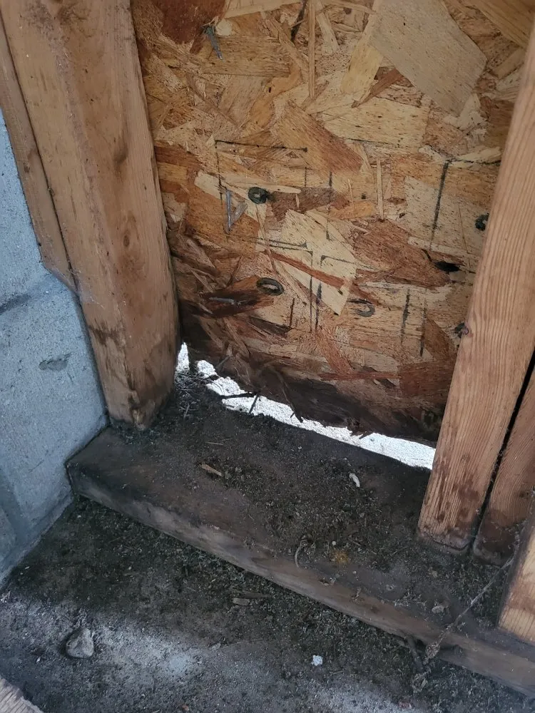 Slide of Jack of All Trades