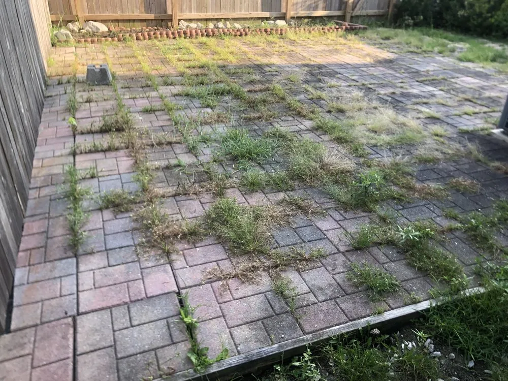 Slide of Jack Of All Tradez