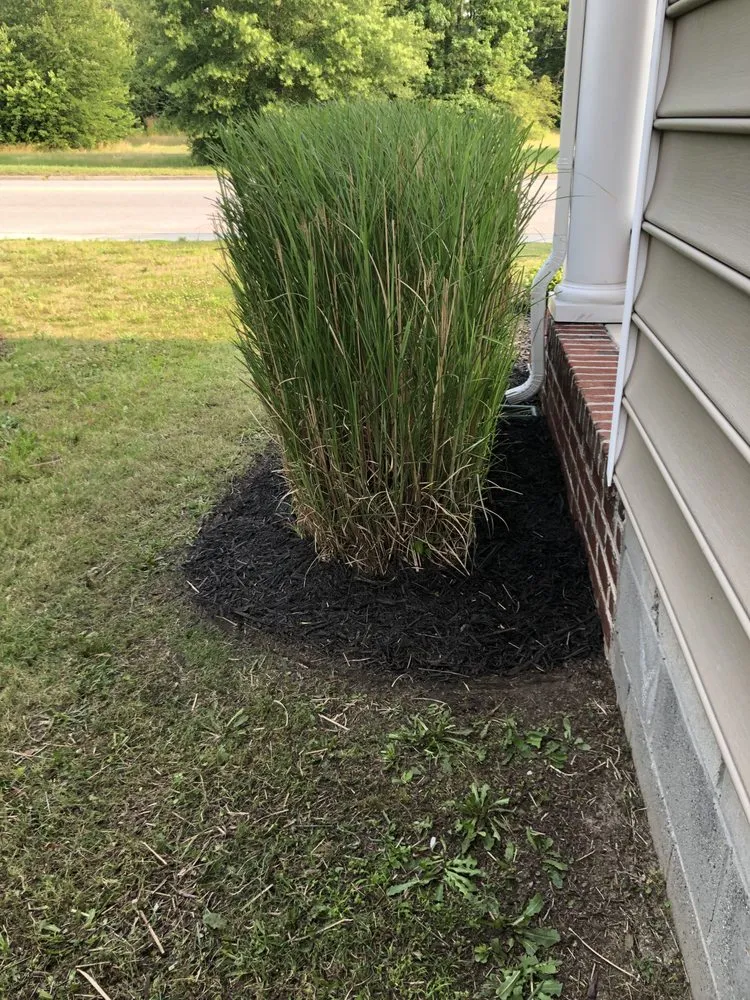 Expert leak detection service in Portsmouth, VA - Jack Of All Tradez