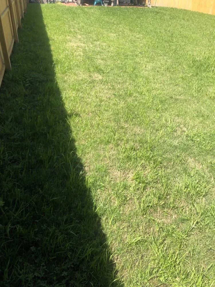 Top-rated plumbing repair in Portsmouth, VA by Jack Of All Tradez