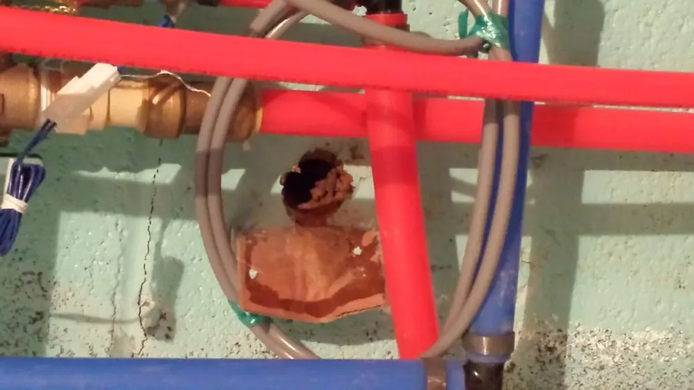 Slide of Jack Ward & Sons Plumbing