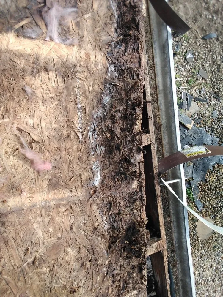 Slide of Jacks Freelance Services