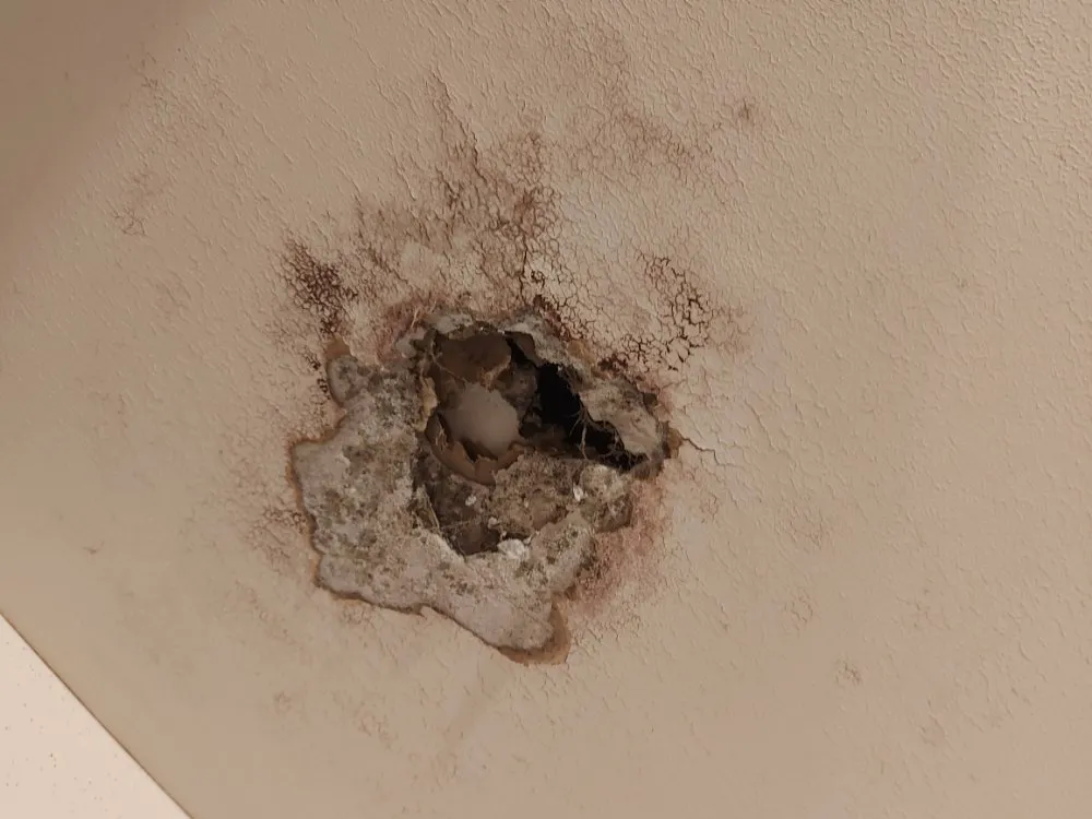 Expert leak detection service in Jackson, MI - Jacks Freelance Services