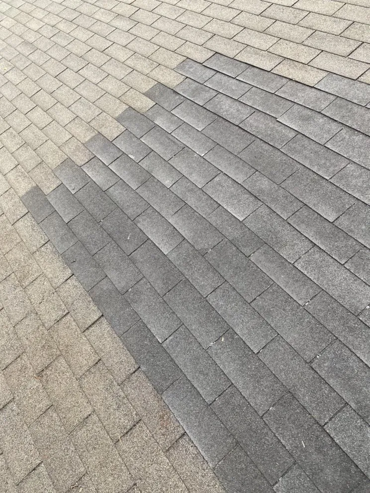 Slide of Jacks of all Trades