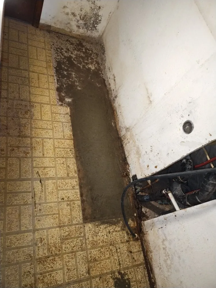 Slide of Jackson Plumbing