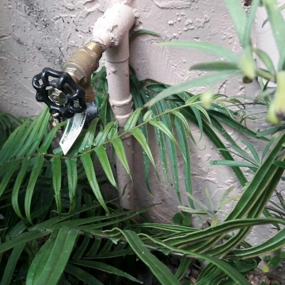 Slide of Jackson's Plumbers