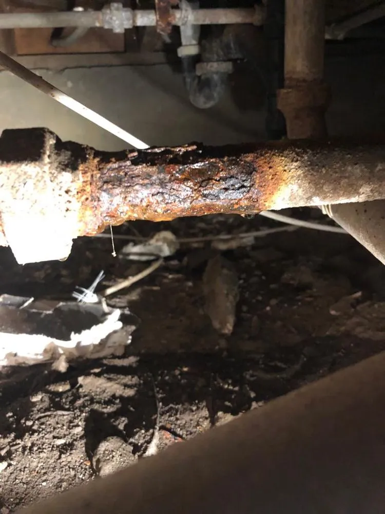 Reliable emergency plumbing for homes in Los Angeles, CA by Jacob Plumbing