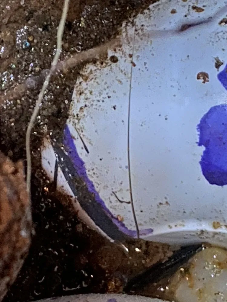 Slide of Jacobs Plumbing