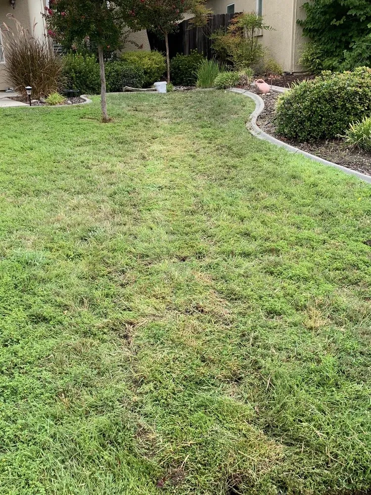 Slide of Jacobs Plumbing