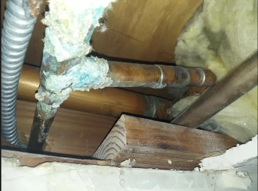 Top-rated water heater service for homes in Garden Grove, CA by Jacot Plumbing