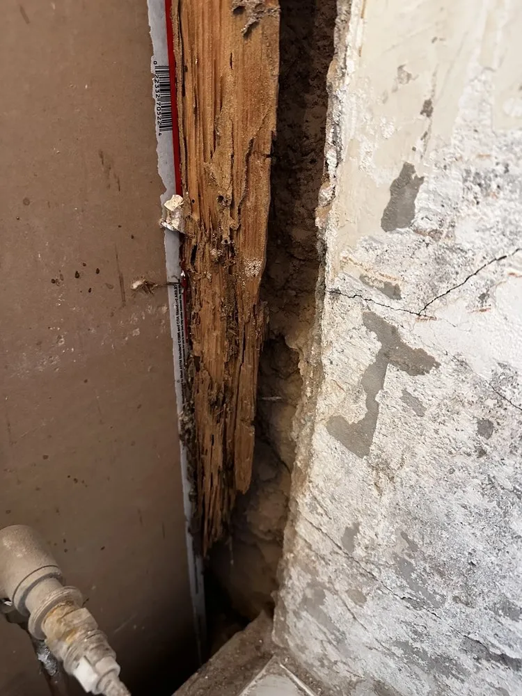 Slide of Jacuzzi Bath Remodel