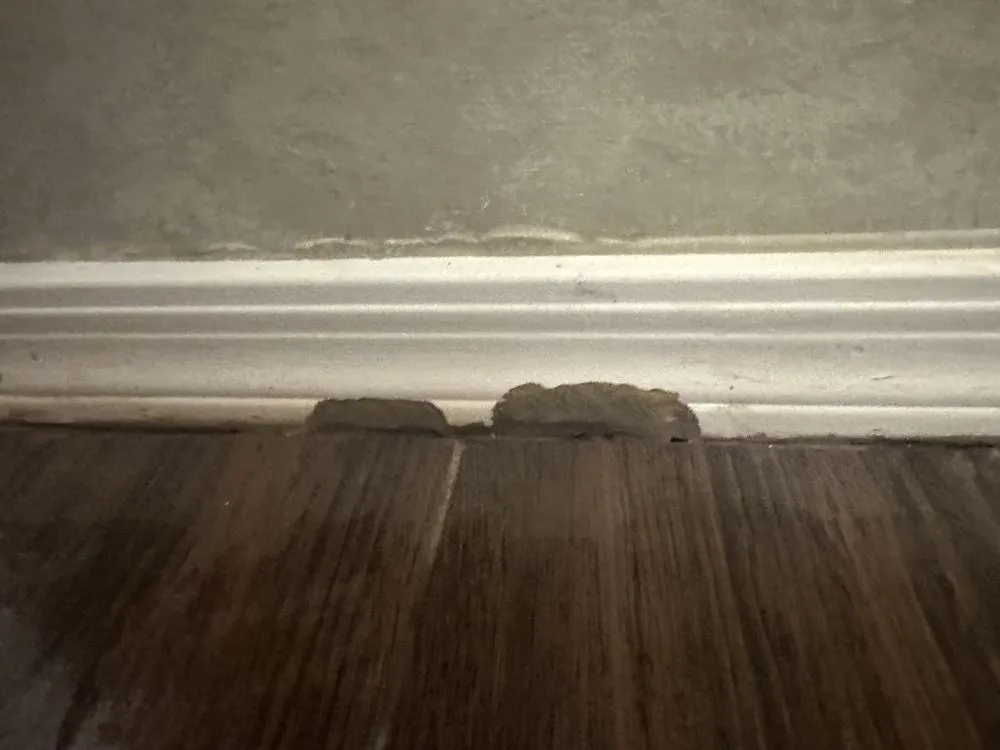 Slide of Jacuzzi Bath Remodel