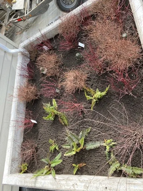 Trusted pipe repair experts serving Tacoma, WA - Jafco Plumbing and Sewer