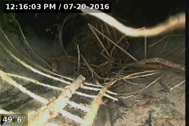 Slide of Jake The Snake Drain Cleaning