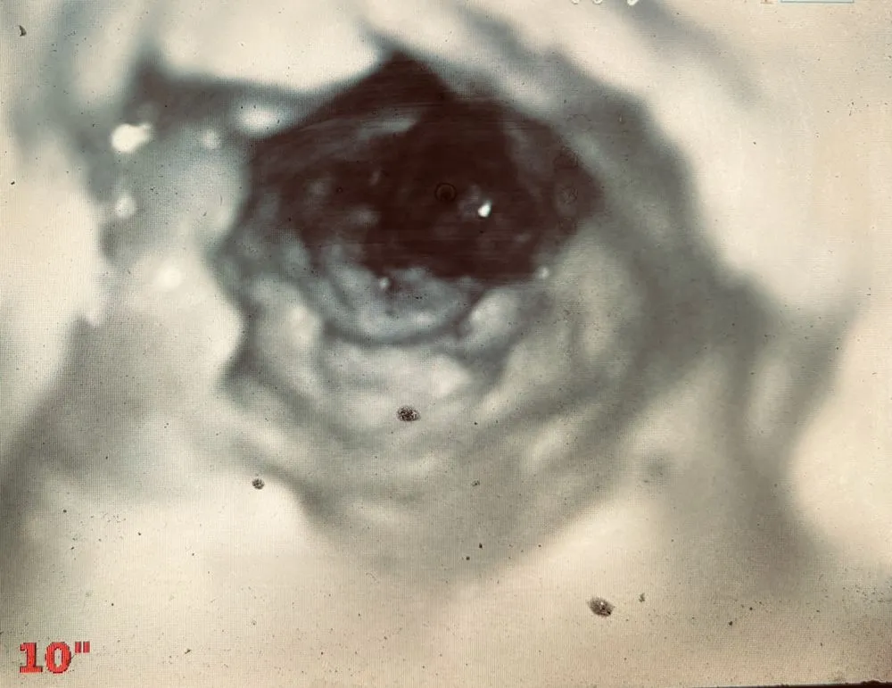 Slide of Jake The Snake Drain Cleaning