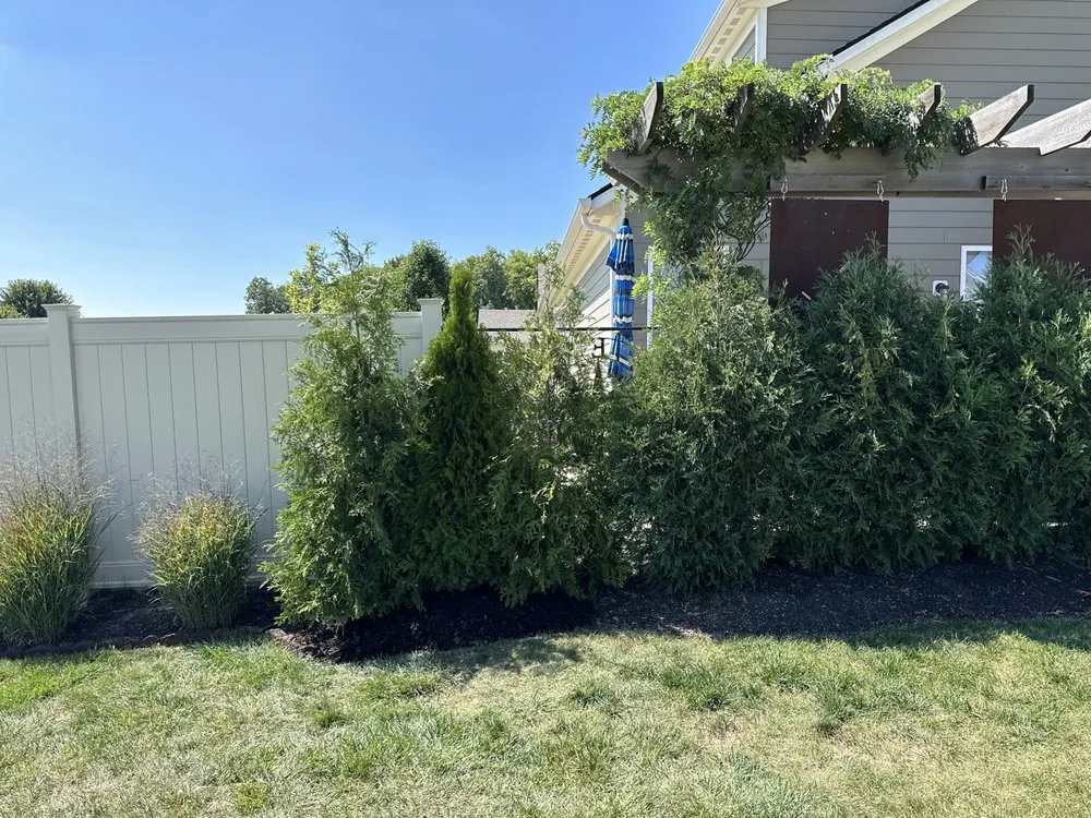 Slide of Jake's Lawn and Handyman Services