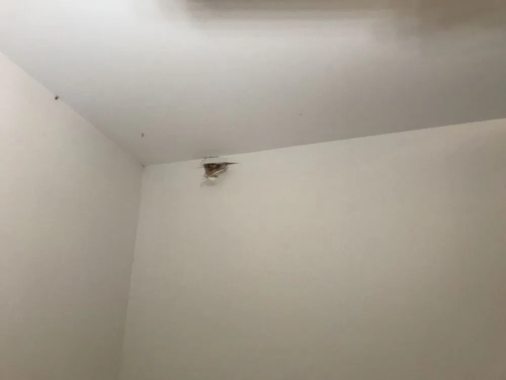 Slide of James Plumbing