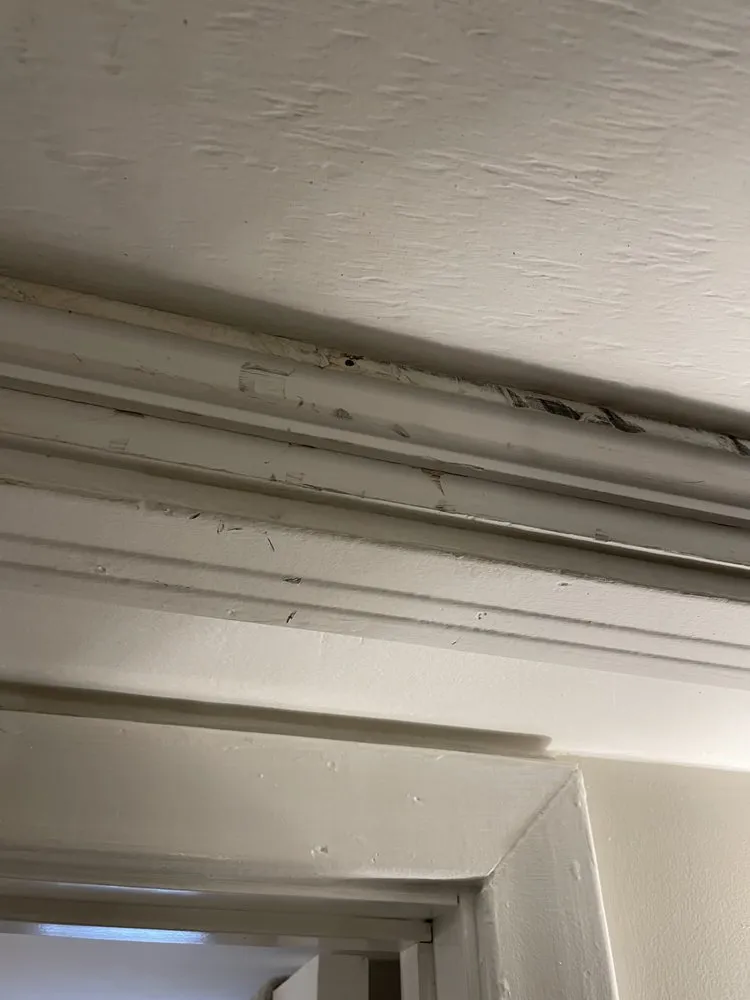 Affordable plumbing repair service in Richmond, VA - James River Air Conditioning