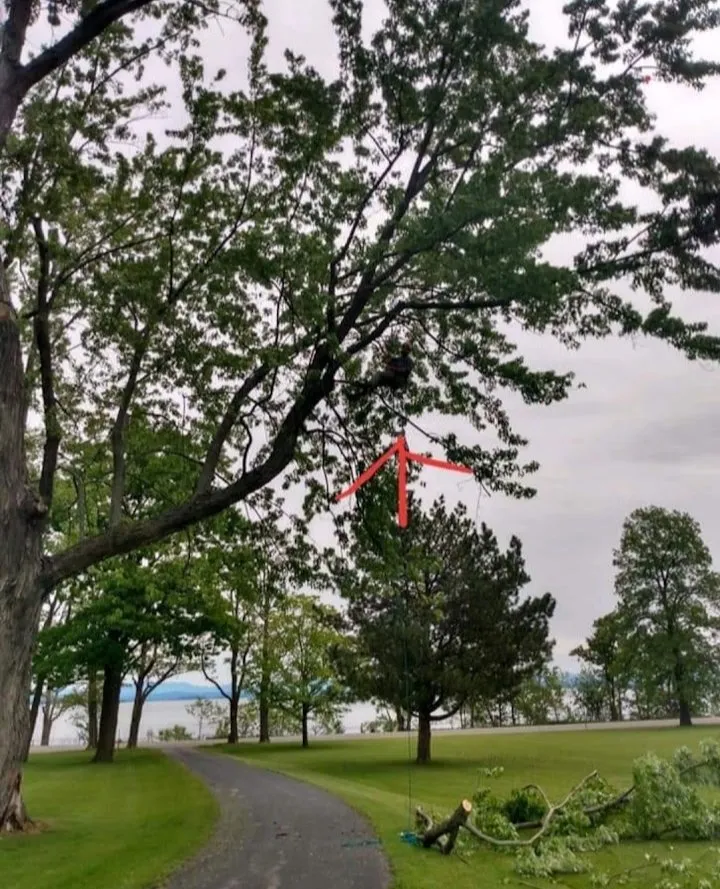 Slide of Jamie VanEtten