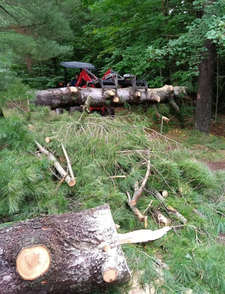 Slide of Jamie VanEtten