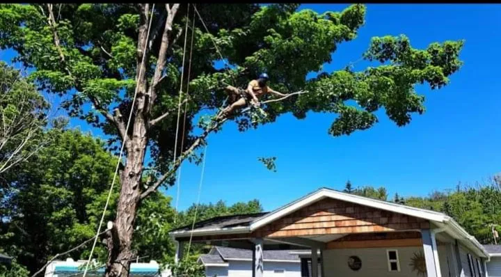 Slide of Jamie VanEtten