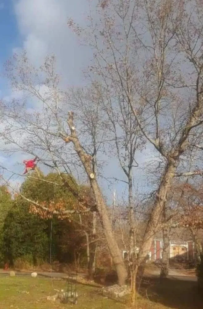 Slide of Jamie VanEtten