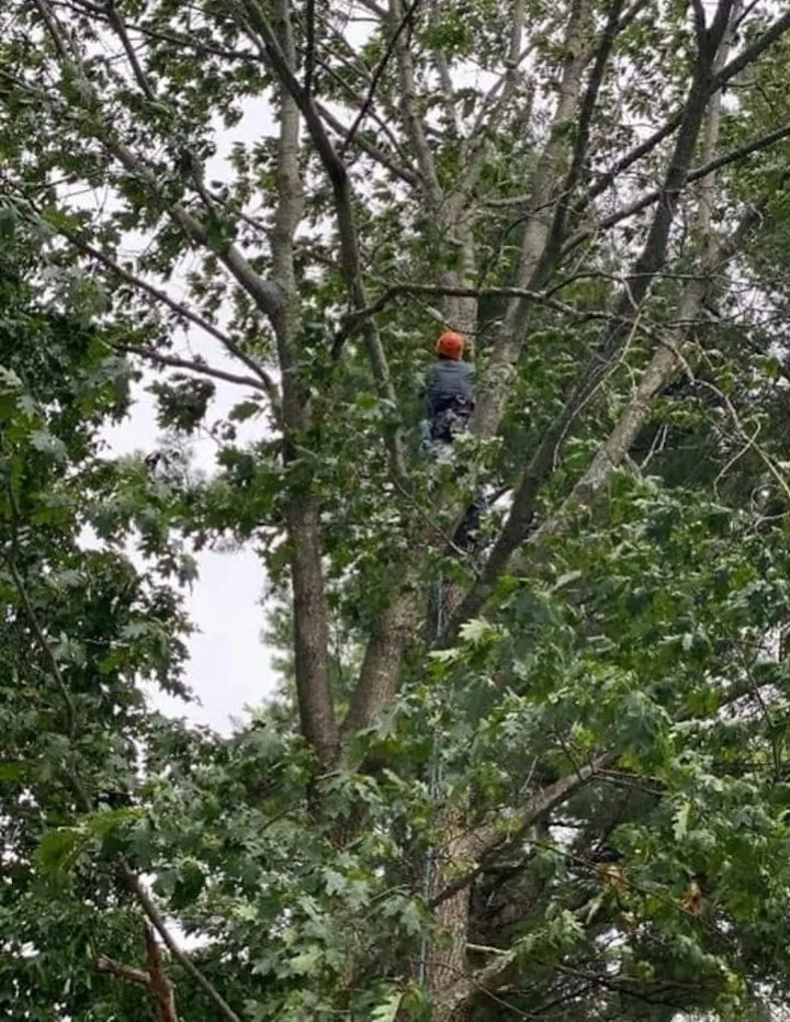 Slide of Jamie VanEtten