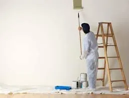 Slide of Jandh Painting