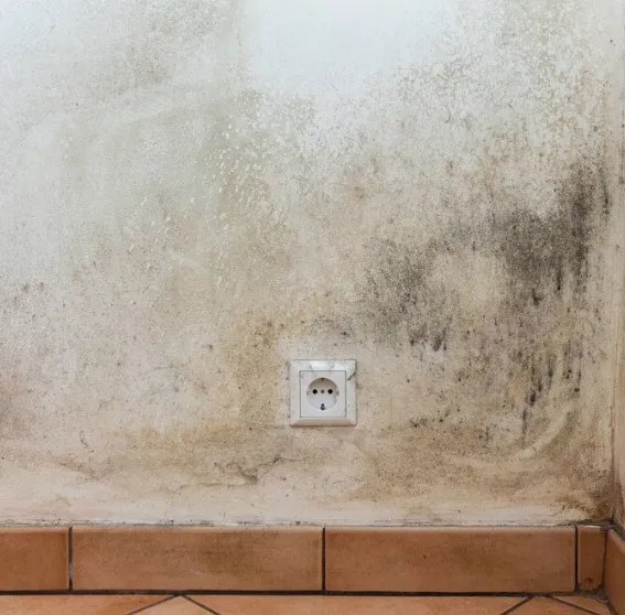 Slide of Janesville Basement Waterproofing