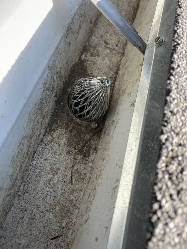 Slide of Janitorial & Home Repair Services