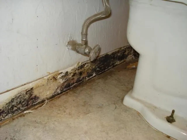 Slide of Jared's Plumbing