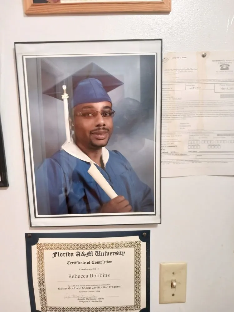 Slide of Jason Dobbins services