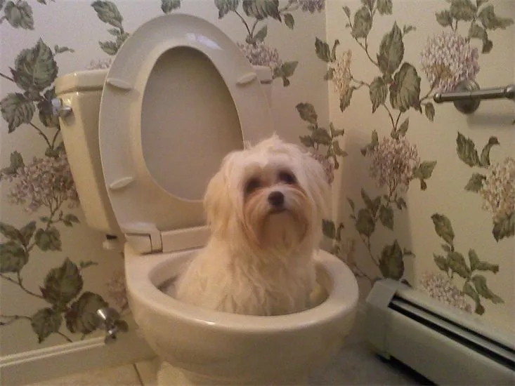 Slide of Jason Ravitz Master Plumber