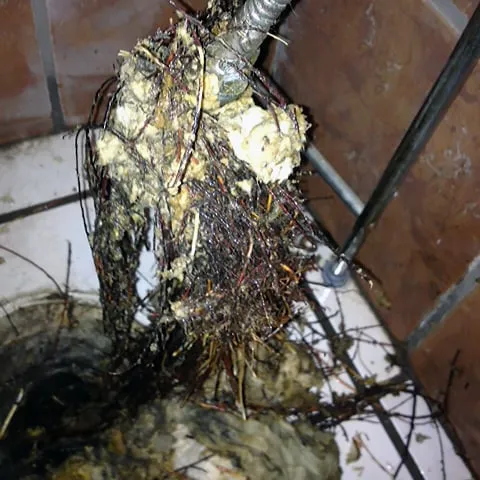 Slide of Jason the Plumber