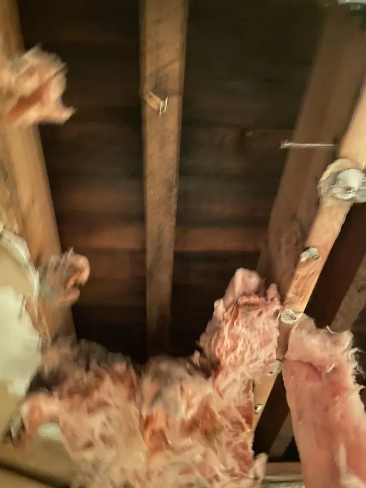 Slide of Javier's Plumbing