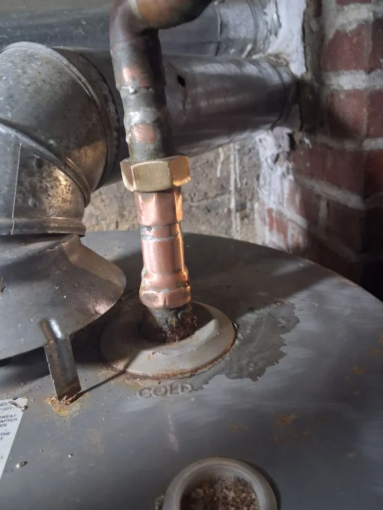 Slide of Jays Plumping Cheap And Affordable