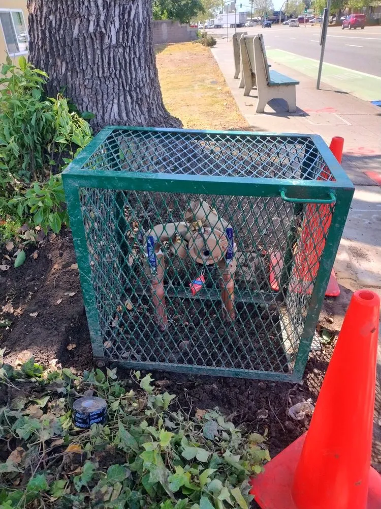 Emergency emergency plumbing in San Leandro, CA by JC Green Plumbing