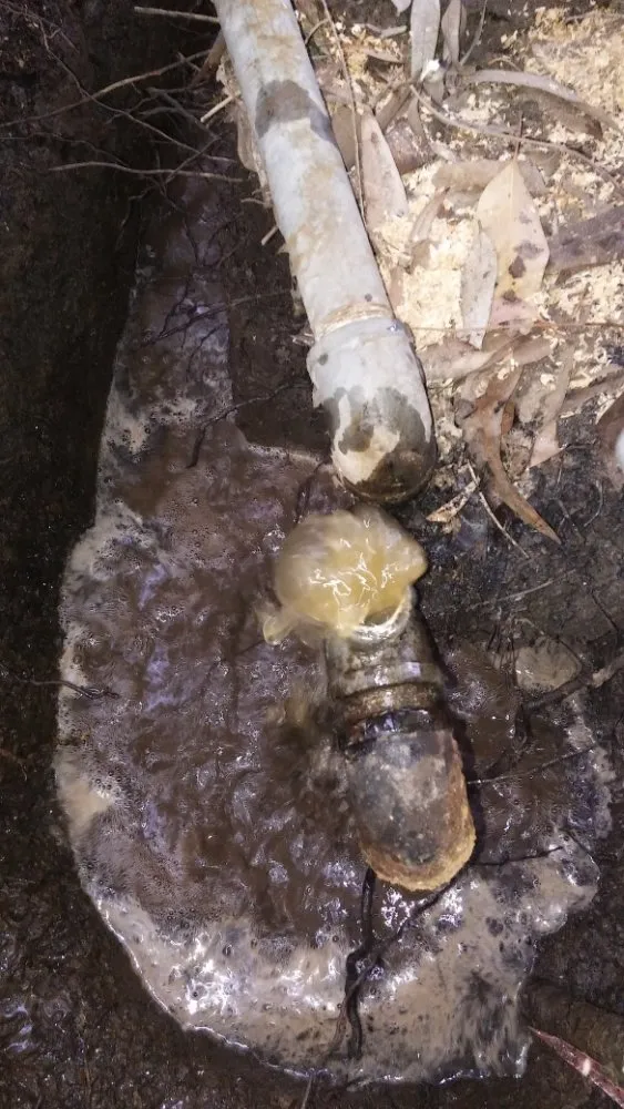 Slide of JC Plumbing Green