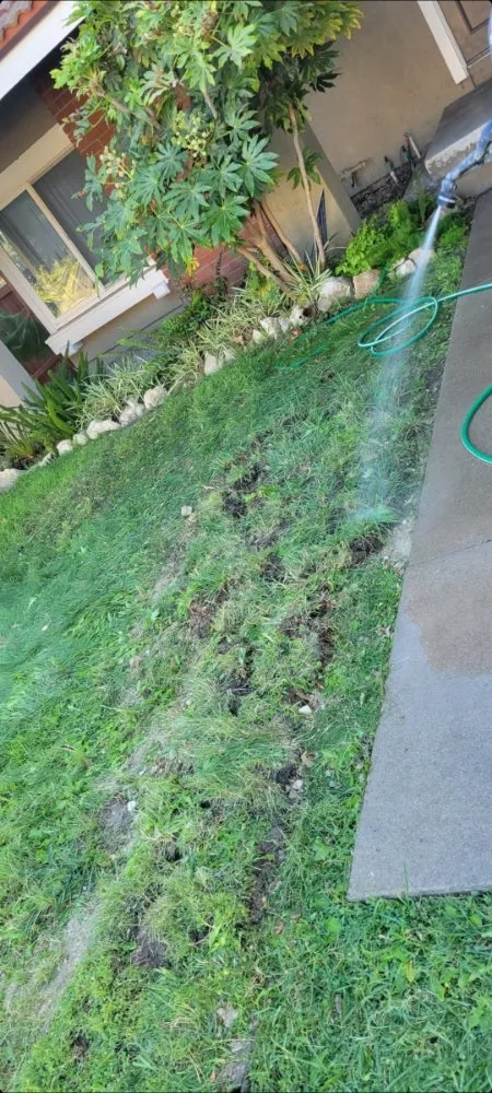 Slide of JC Plumbing