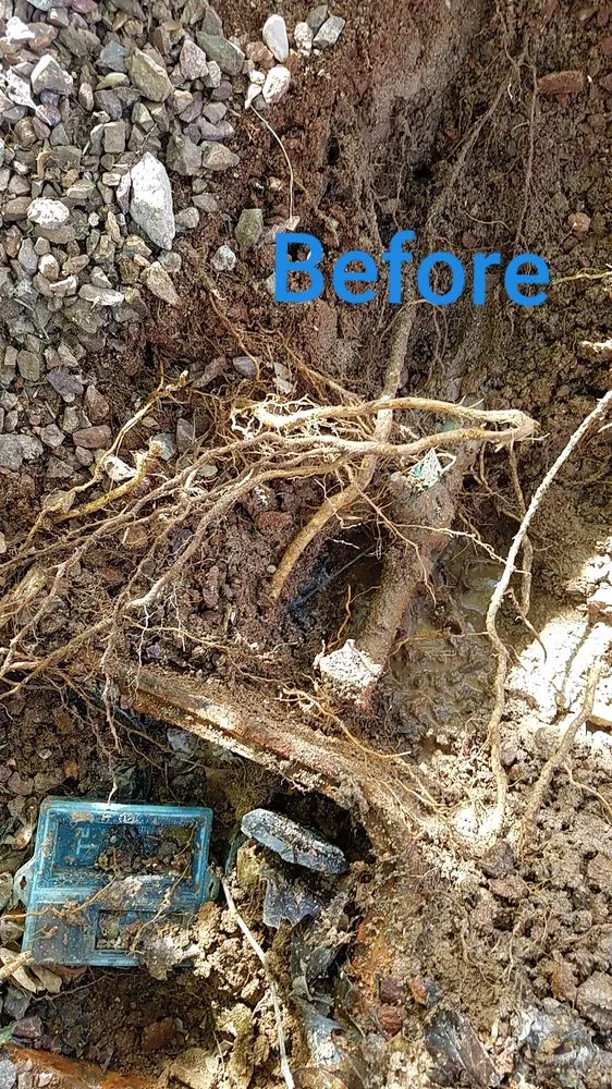 Slide of JC Plumbing