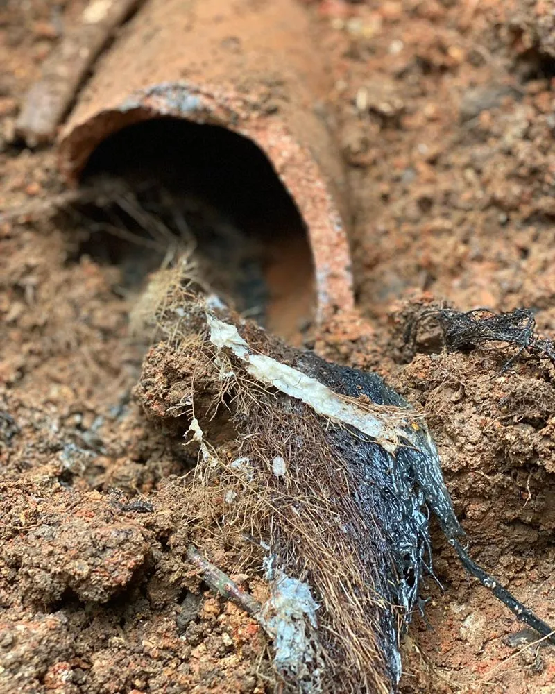 Slide of JD Summers Plumbing