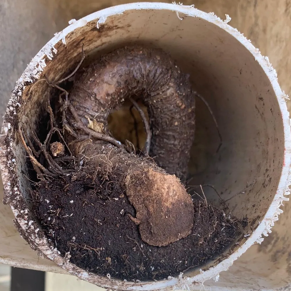 Slide of JD's Plumbing