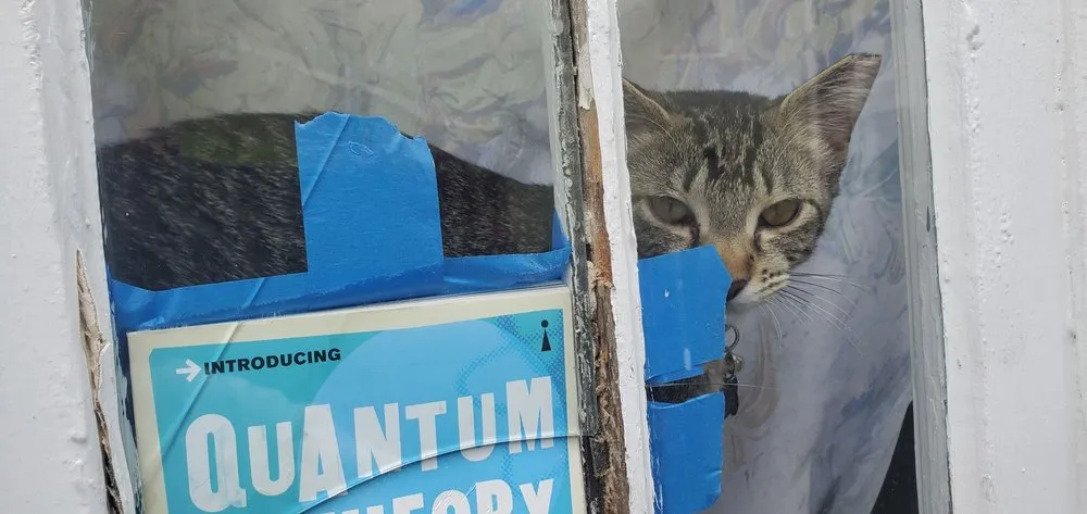 Reliable drain cleaning in New Orleans, LA by Jeff of All Trades