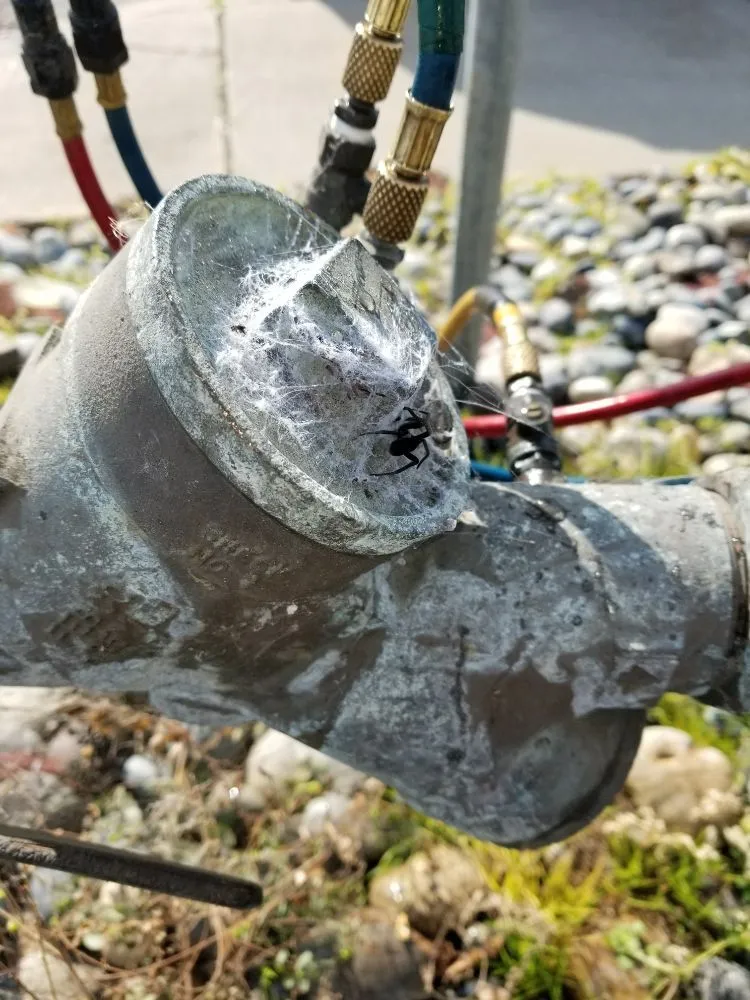 Slide of Jeff's Backflow Service