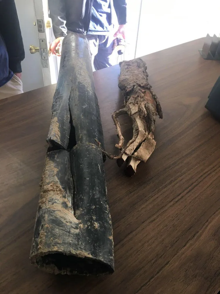 Slide of Jeff's Plumbing