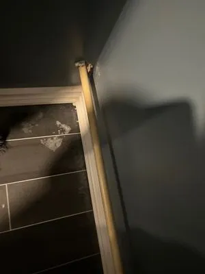 Jeff's Westside Plumbing Logo