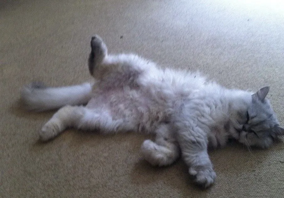 Slide of JEG Plumbing