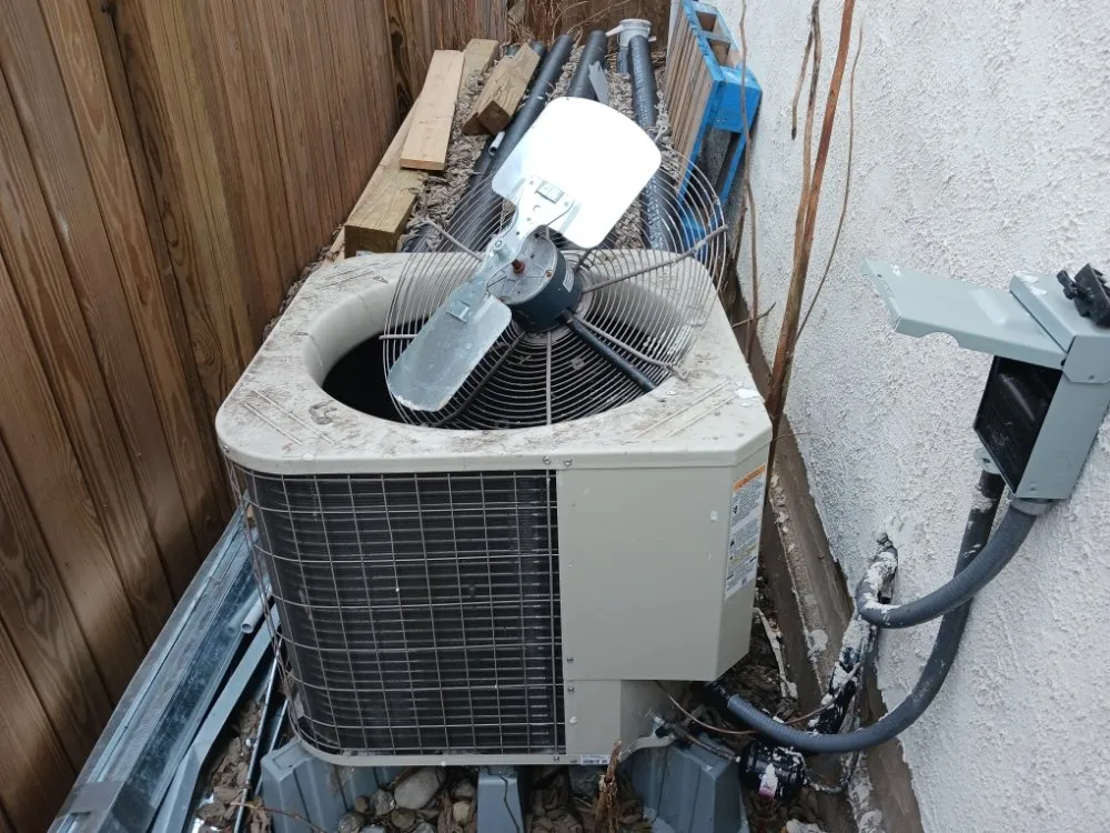 Slide of Jenalia Mechanical