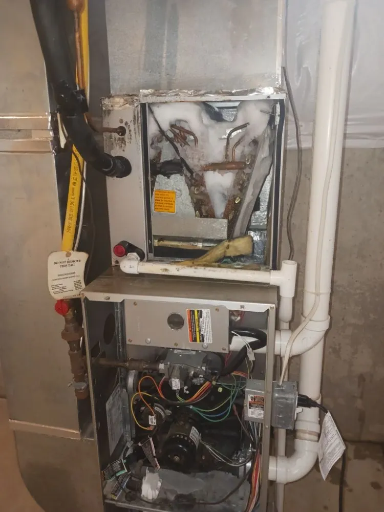 Slide of Jenalia Mechanical