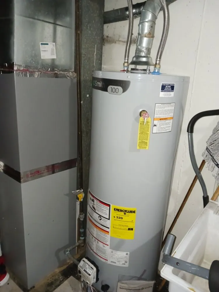 Slide of Jenalia Mechanical